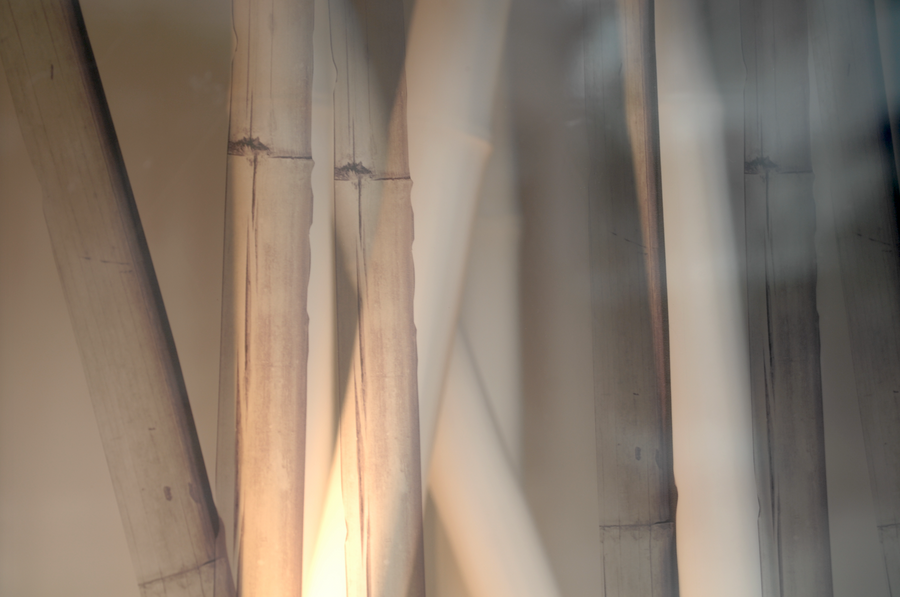 White Bamboo 2